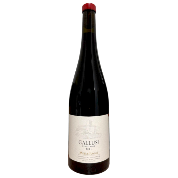Meyer-Fonné Pinot Noir  Gallus 2021