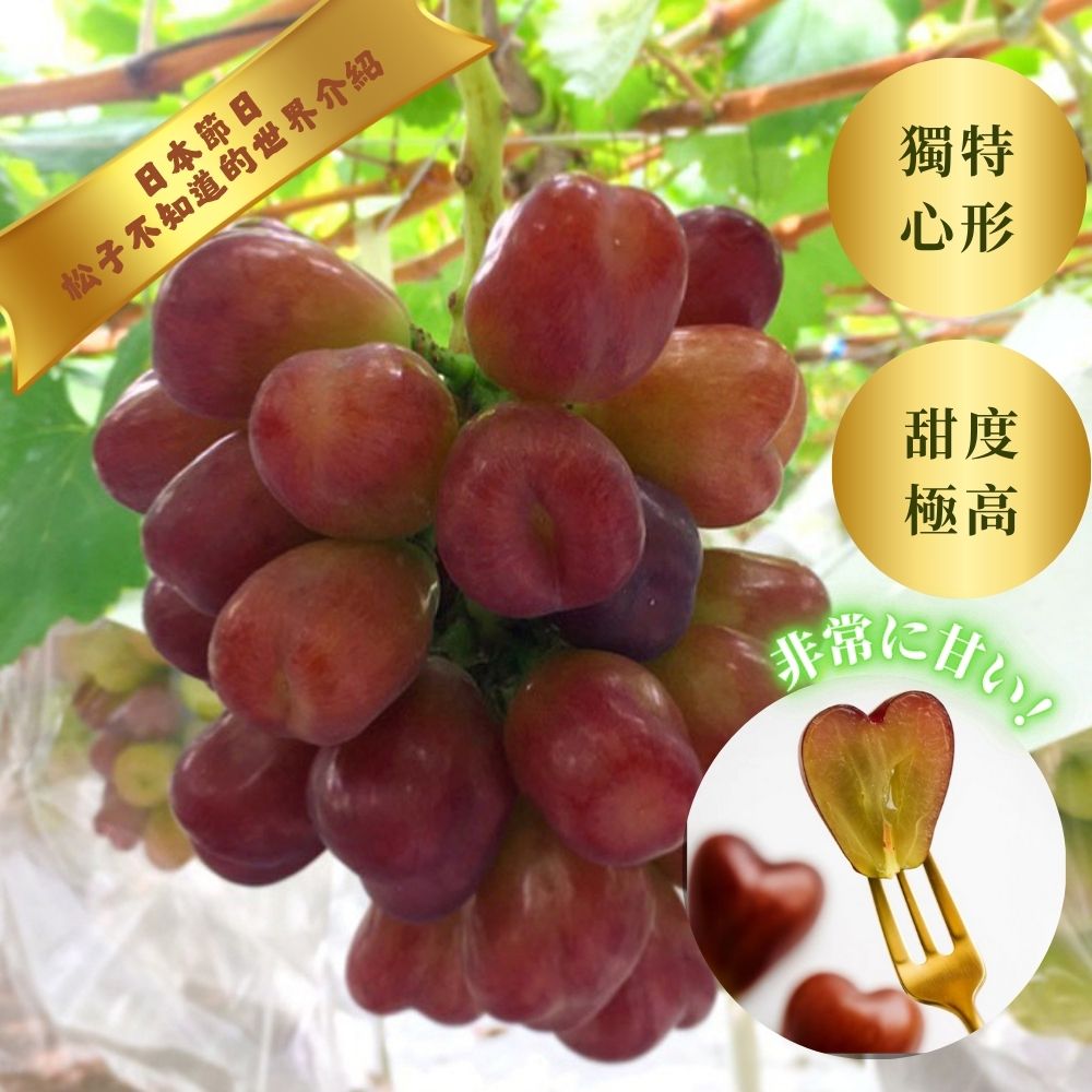 My Heart  心型造型葡萄 日本節目 松子不知道的世界 ❤️ 介紹