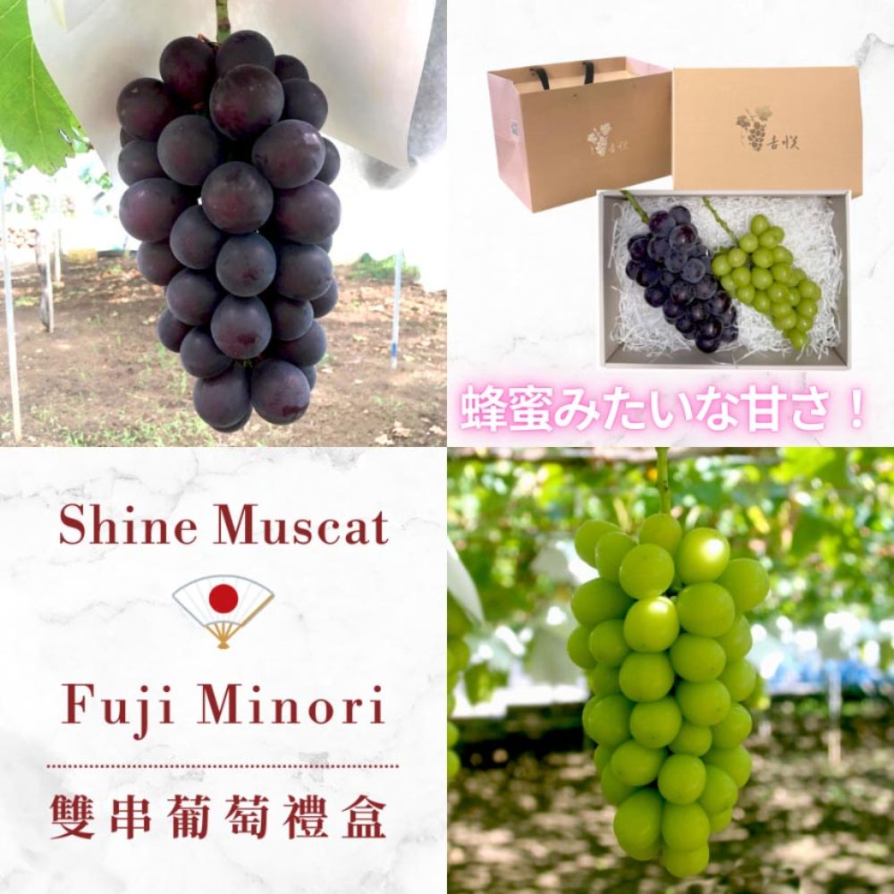 山梨縣頂級葡萄雙串禮盒 (2房/盒) <br>Shine Muscat + Fuji Minori 
