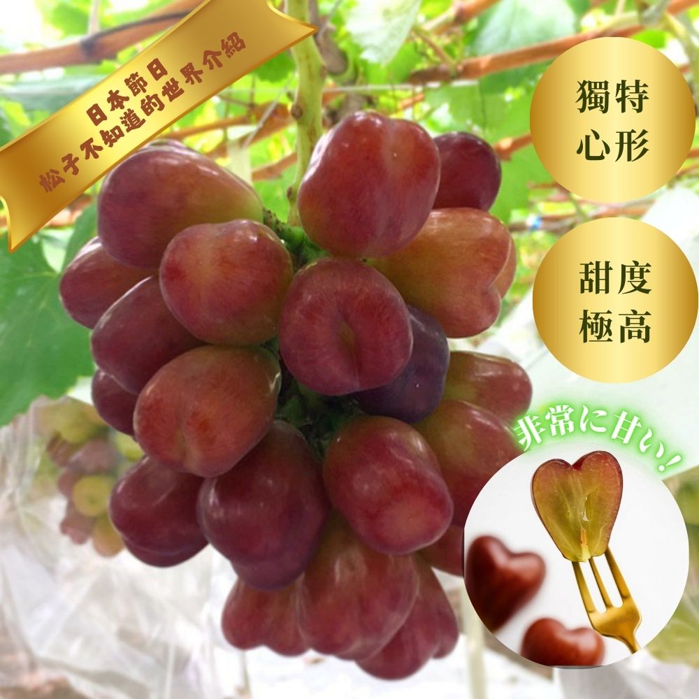My Heart  心型造型葡萄<br> 日本節目 松子不知道的世界 ❤️ 介紹