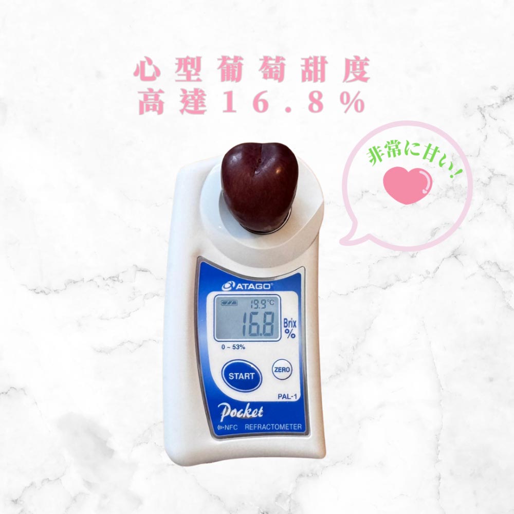 My Heart 心型造型葡萄<br> 日本節目 松子不知道的世界 ❤️ 介紹