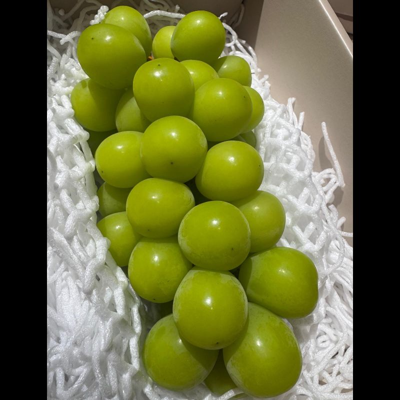 Shine Muscat 麝香葡萄176年山梨縣葡萄園直送
