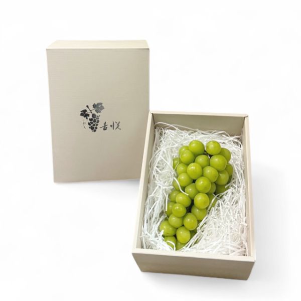 Shine Muscat 麝香葡萄<br>175年山梨縣葡萄園直送