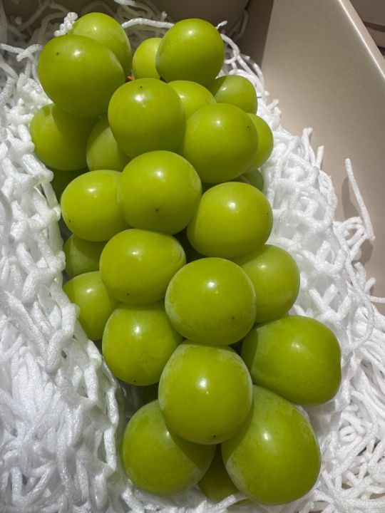 Shine Muscat 麝香葡萄176年山梨縣葡萄園直送